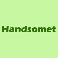 handsomet website