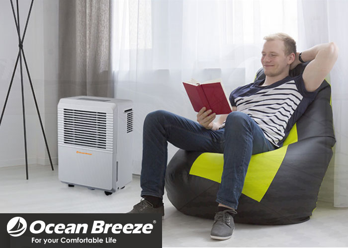 oceanbreeze reviews
