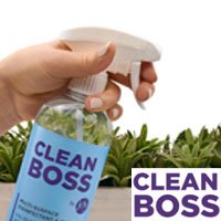 clean boss