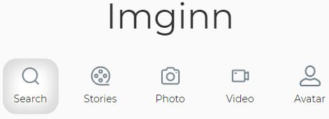 imginn search form