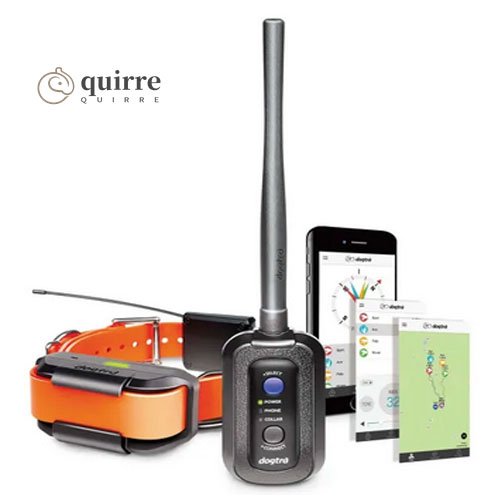 Quirre Shop1
