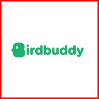 bird buddy feature