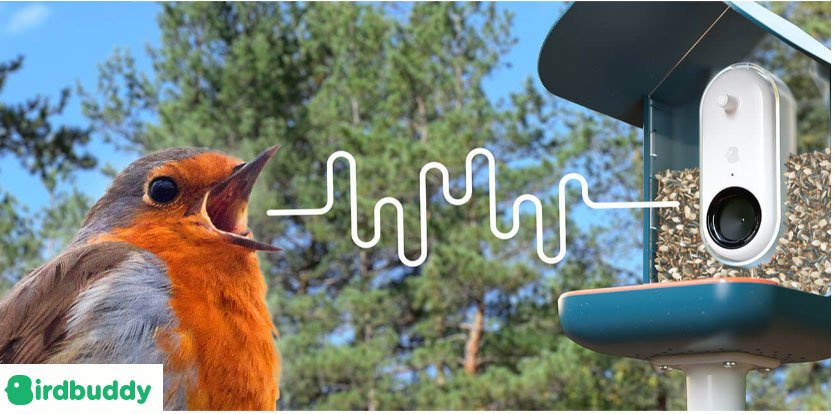 Bird Buddy Reviews2