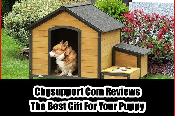Cbgsupport-com-reviews.jpg