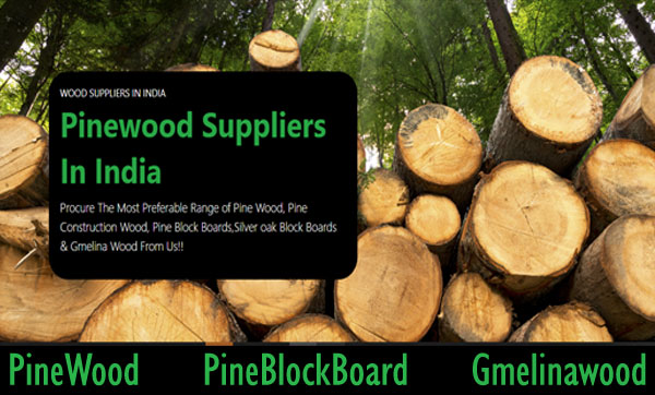 ashoktimber com legit1