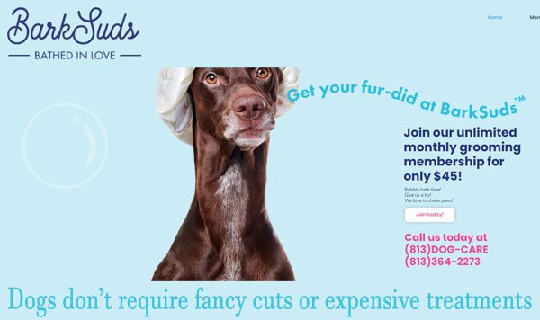 Barksuds spa Reviews