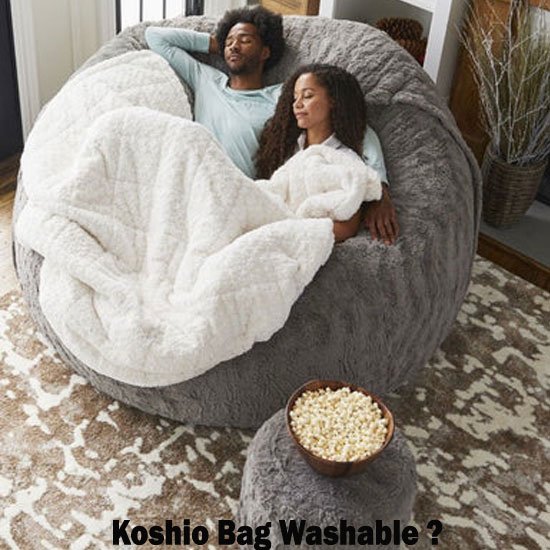 Koshio Bean Bag2