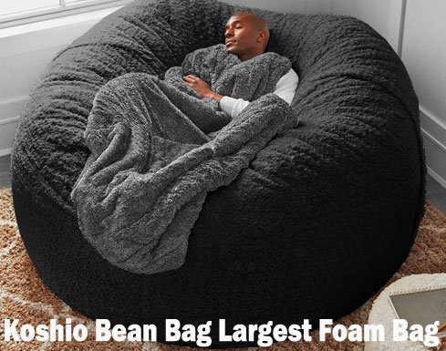 Koshio Bean Bag1