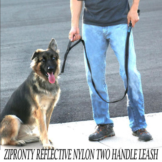 Zipronty Reviews Pets Shopping