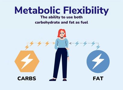 metabolic flexibility