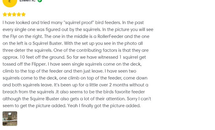 is timbelly legit review