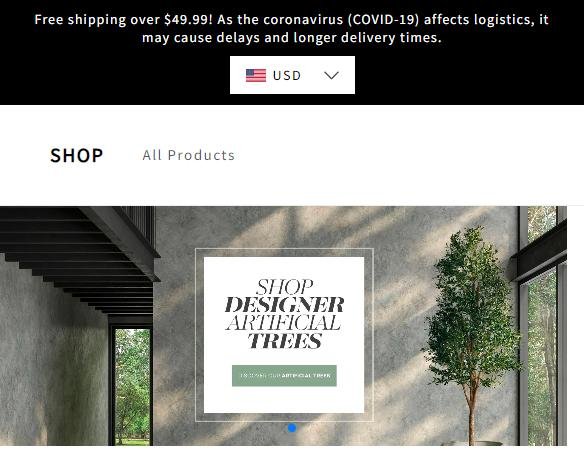 fans sneakers reviews