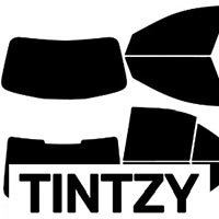 Is Tintzy Legit?